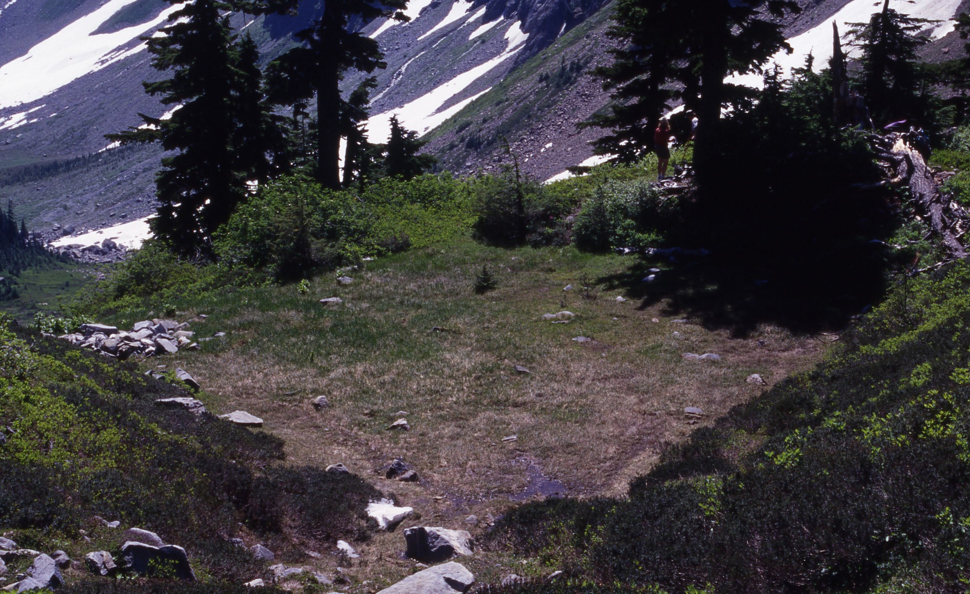 A patchy clearing surrounded by brush and trees at the base of a hill. In the distance are rocky slopes.