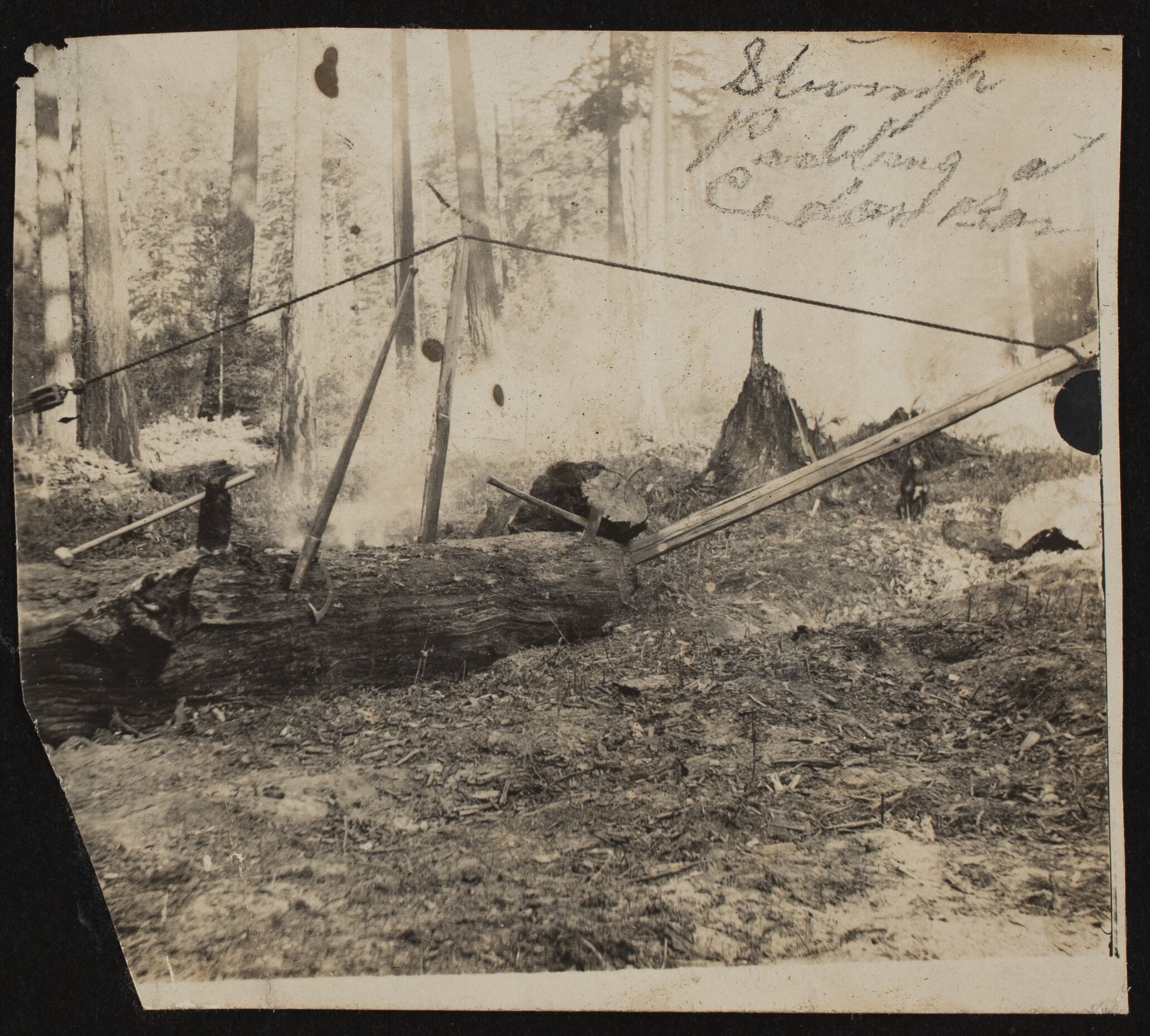 Simple tools left by a stump in a forest, including a maul, an axe and a pulley.