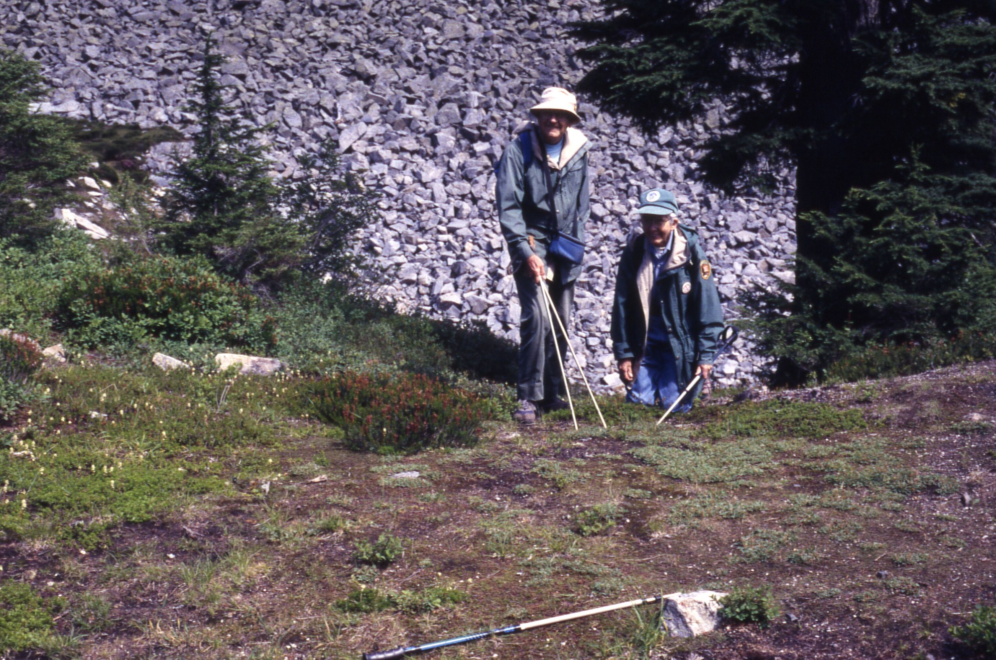 Two hikers behind a patchy area in between wildflowers and shrubs to the left and trees to the right. Behind them is a slope of rocks.