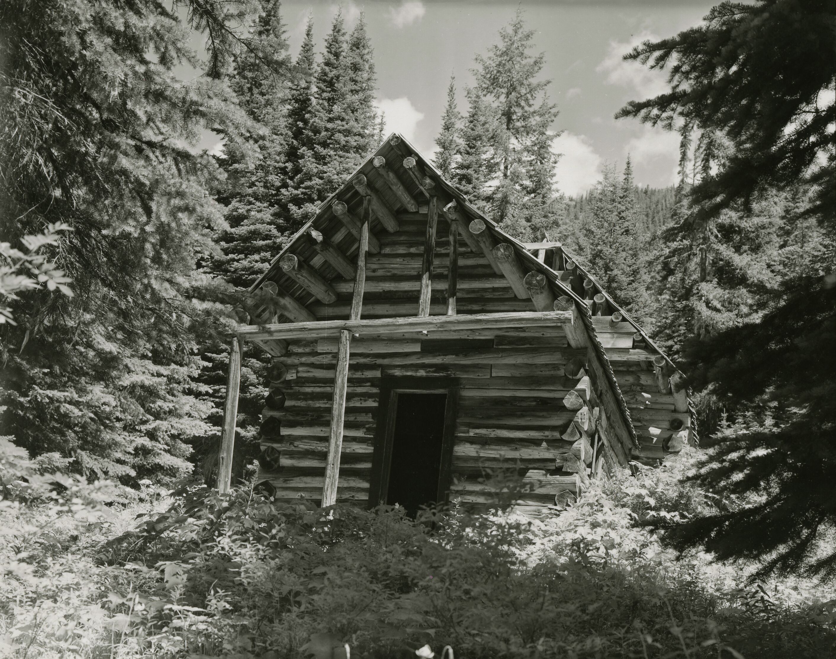 A log cabin surrounded by brush and conifers.