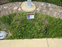 A stone marker with a sign having some information on it.