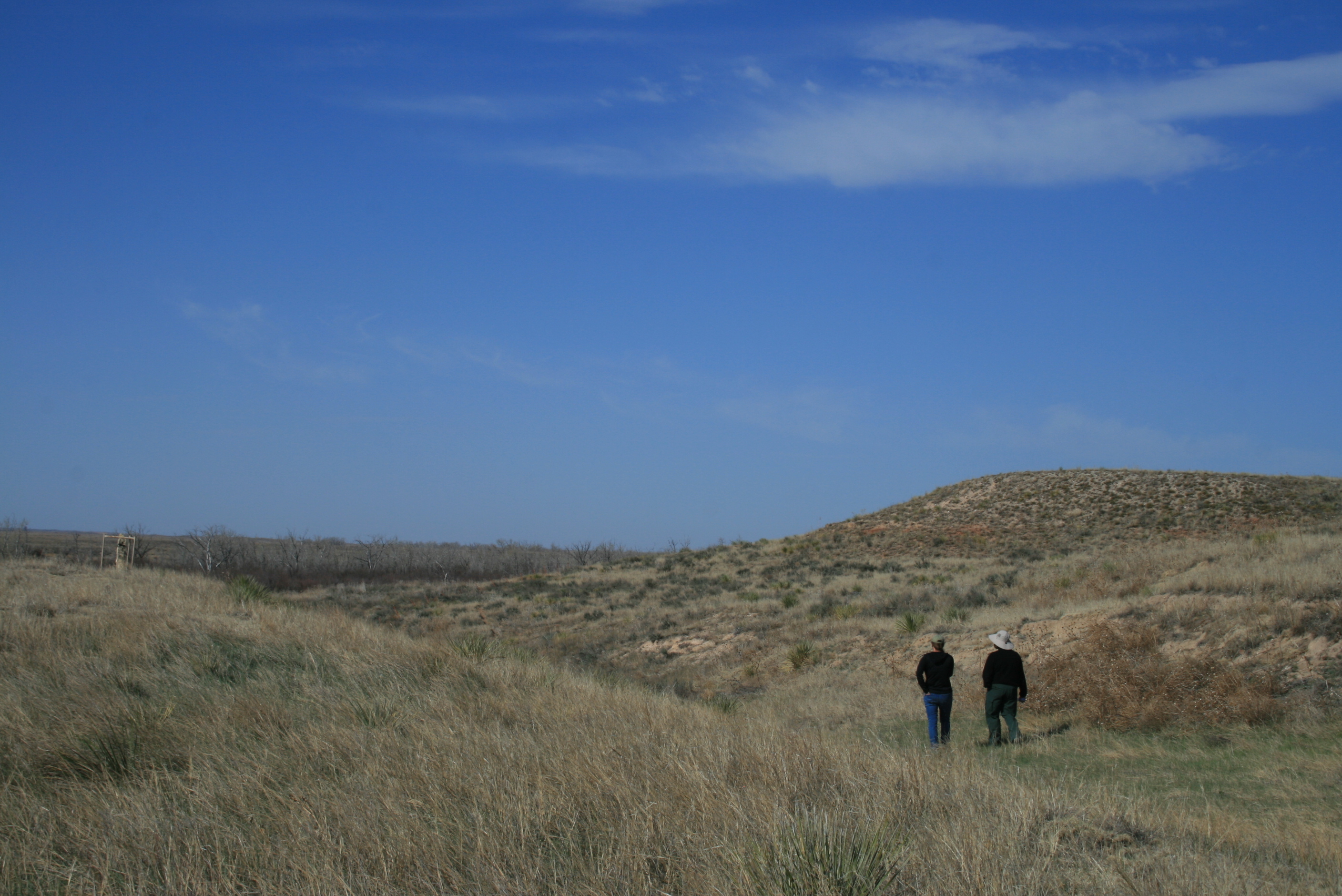 Two people wearing hats stand in a grassy field with a clear blue sky and a small hill in the background.