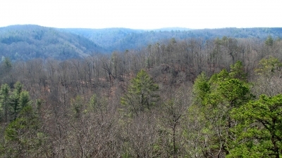 View of the Upper Station Camp Creek valley, from the end of the Twin Arches Trail