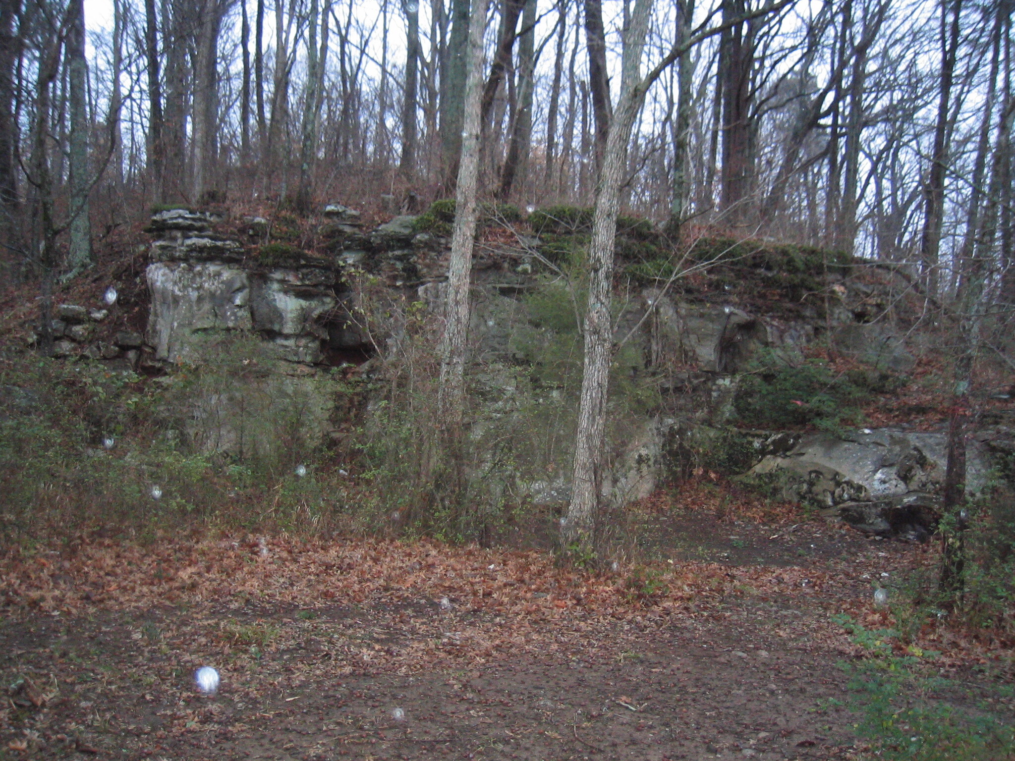 A rock formation in a wooded area.