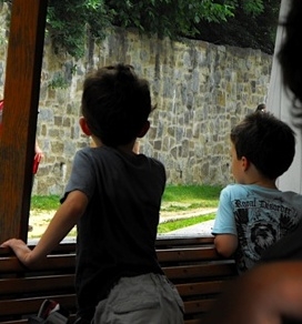 Two boys look with excitement out of a canal boat ride on the C&O Canal in Georgetown