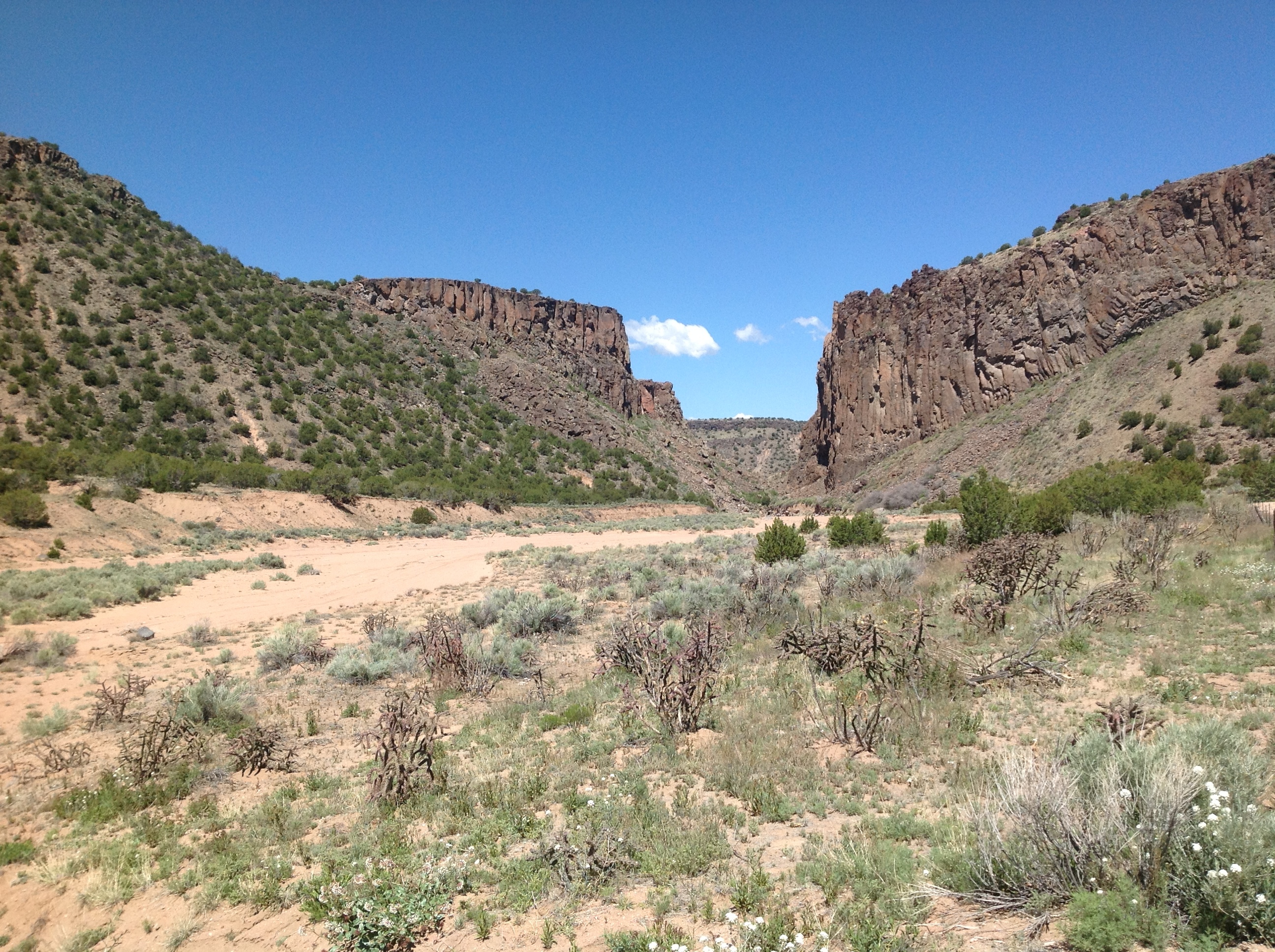 A canyon with a dry river running through it.