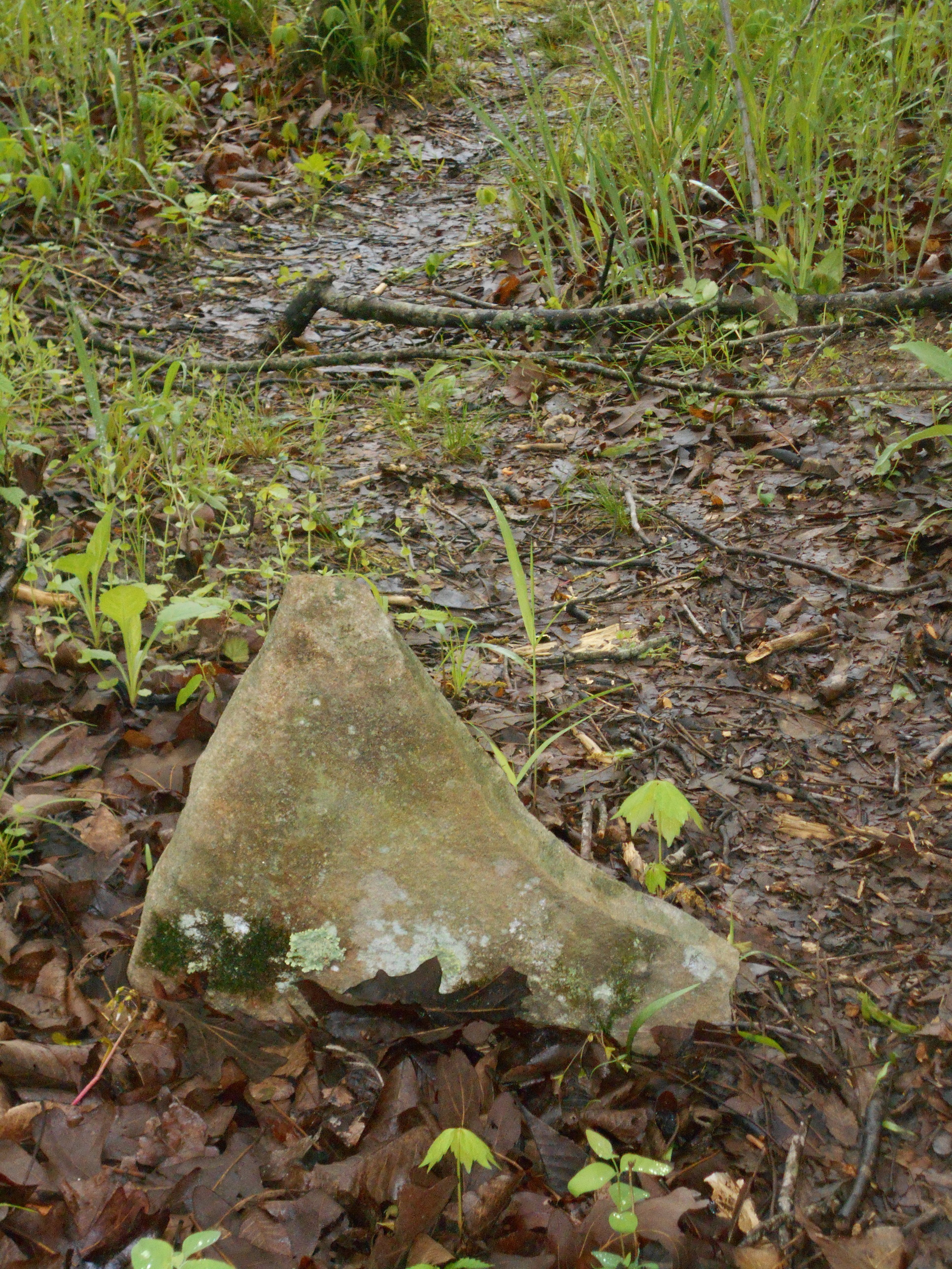 A rock sits in the middle of a wooded area.