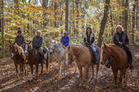Five women on horses pose for the camera on the Potomac Heritage National Scenic Trail in the fall. Trees have orange and yellow leaves, and several leaves are already lining the trail. 