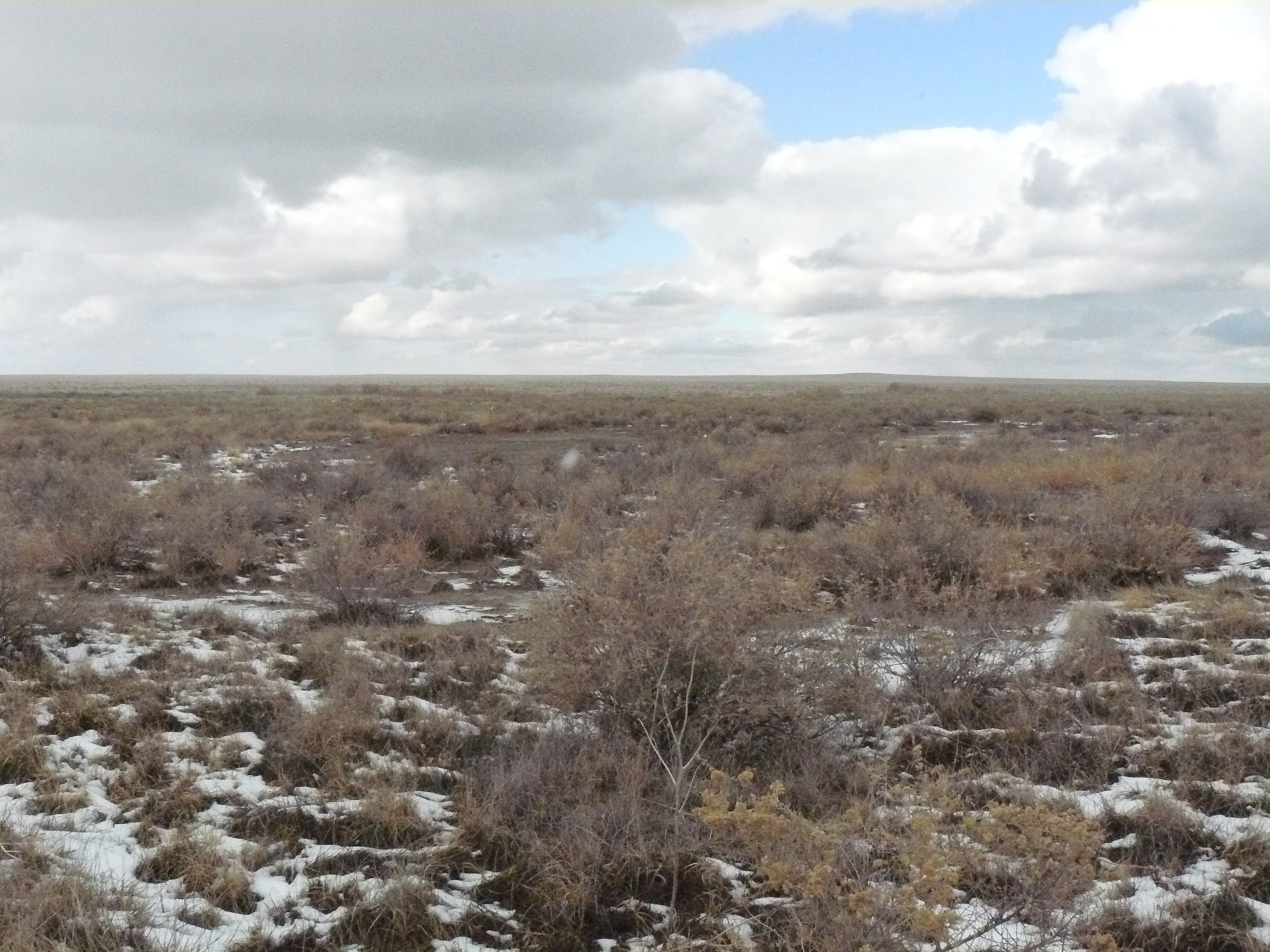 A view of a snow covered field with clouds in the sky.