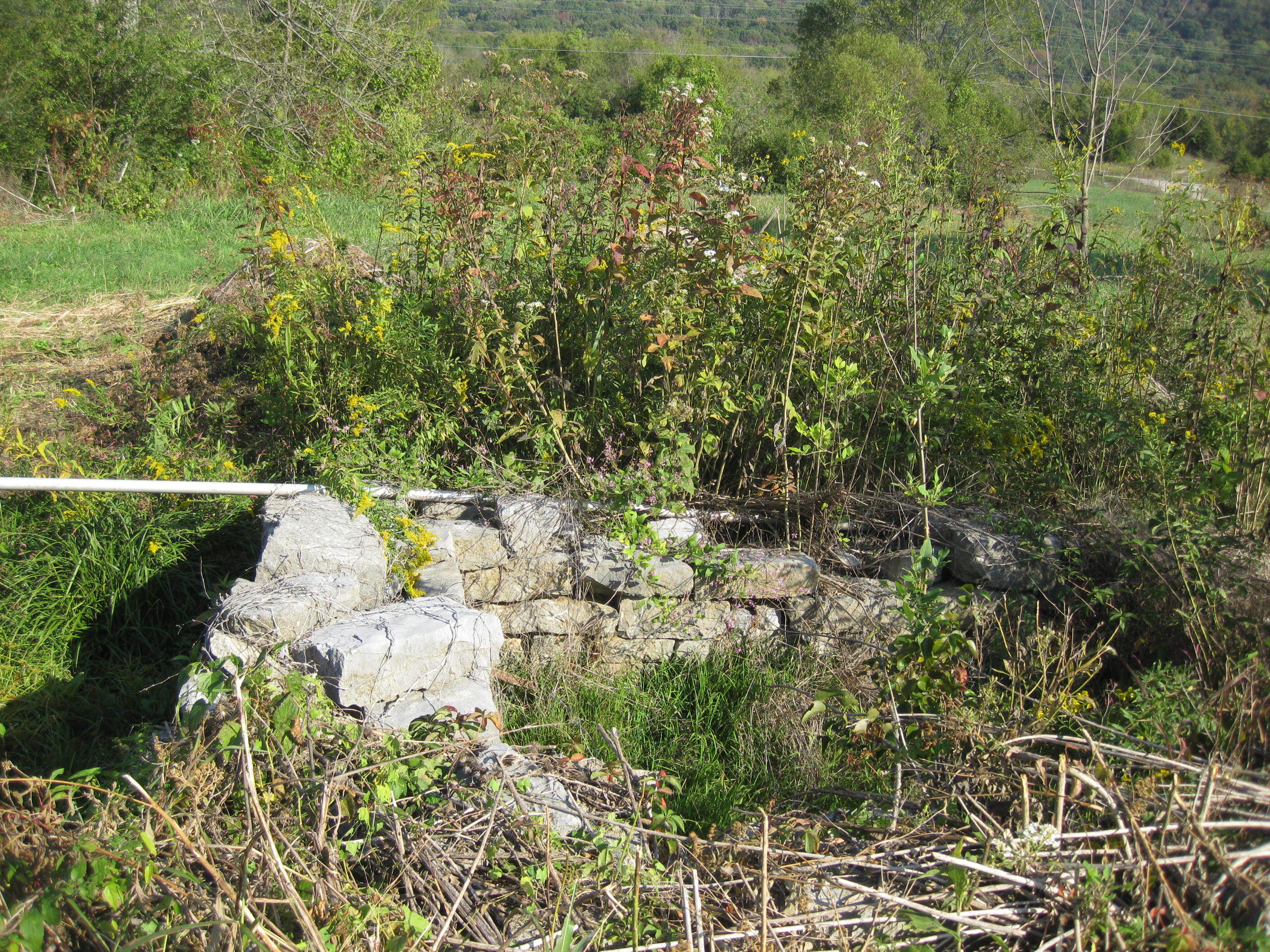 An stone wall in a wooded area.