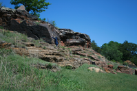 Layered rock formations with green shrubs and blue wildflowers in the foreground under a clear blue sky.