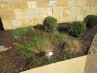 A planter with a sign on it.