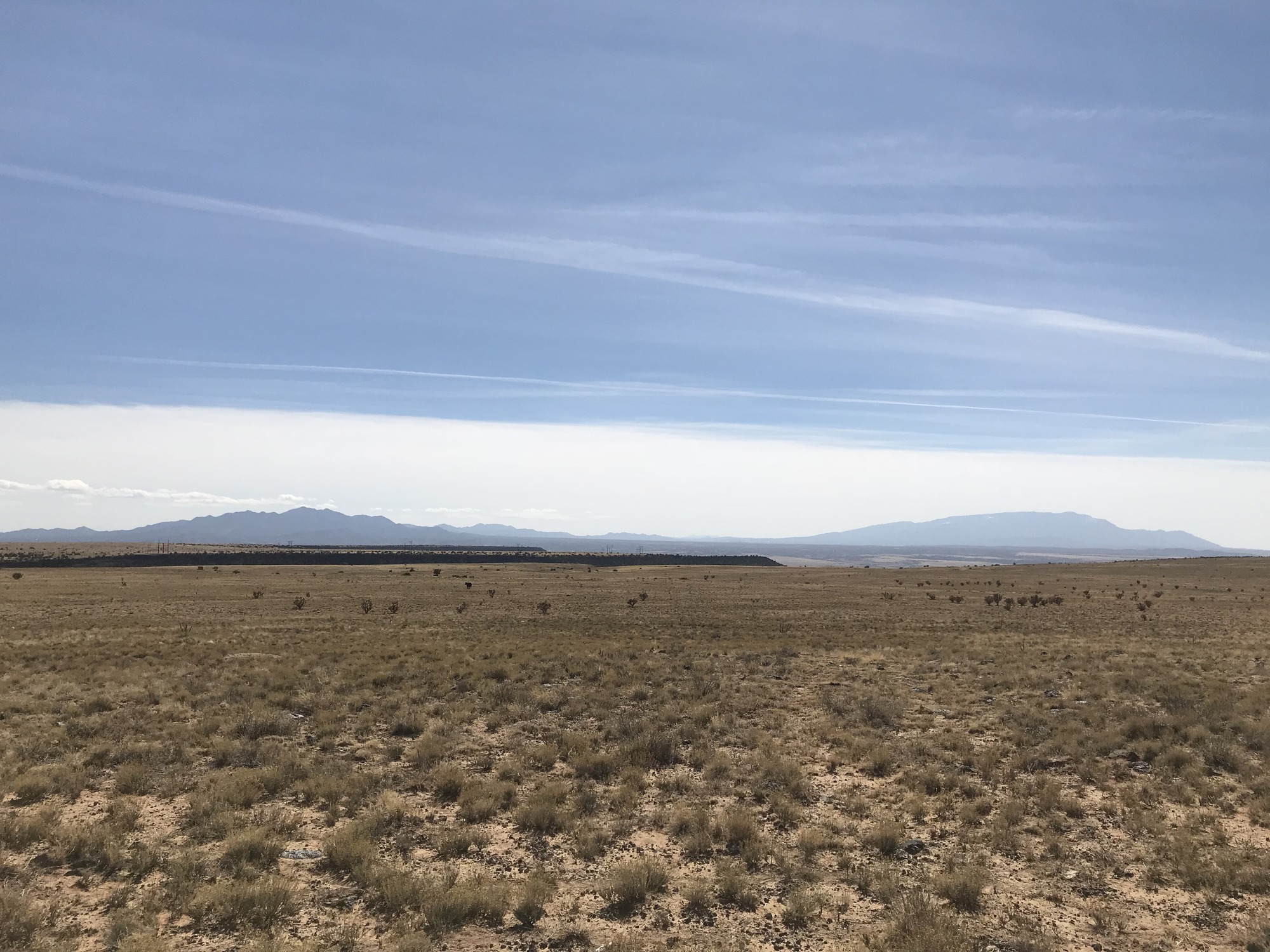 A view of a desert with mountains in the background.