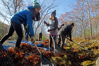 Men and women wearing coats rake leaves. 