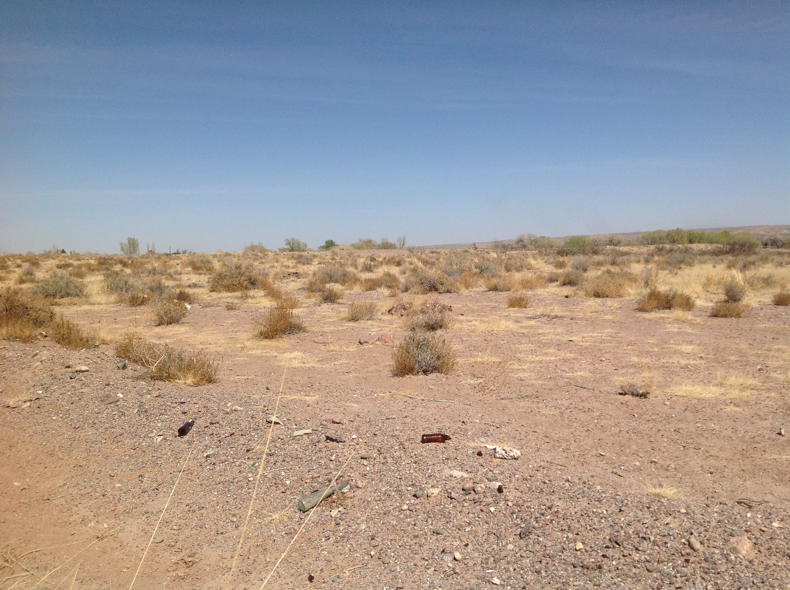 A deserted area with a lot of grass and weeds.