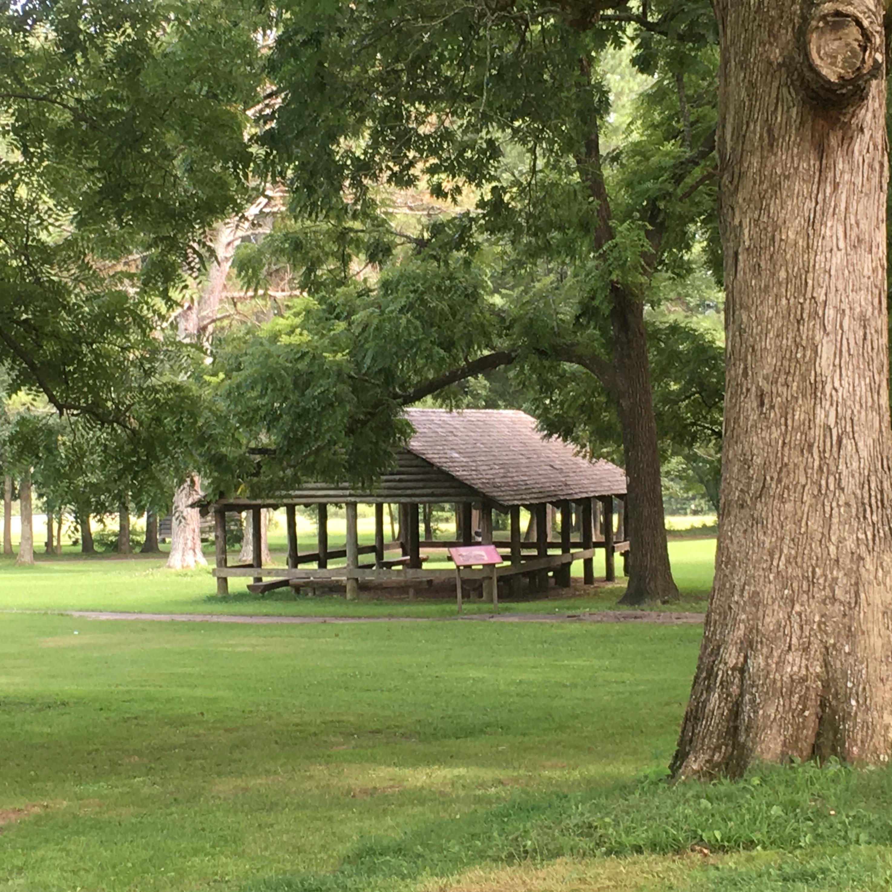 
A gazebo in a green park with trees.