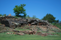 Layered rock formations with green shrubs and blue wildflowers in the foreground under a clear blue sky.
