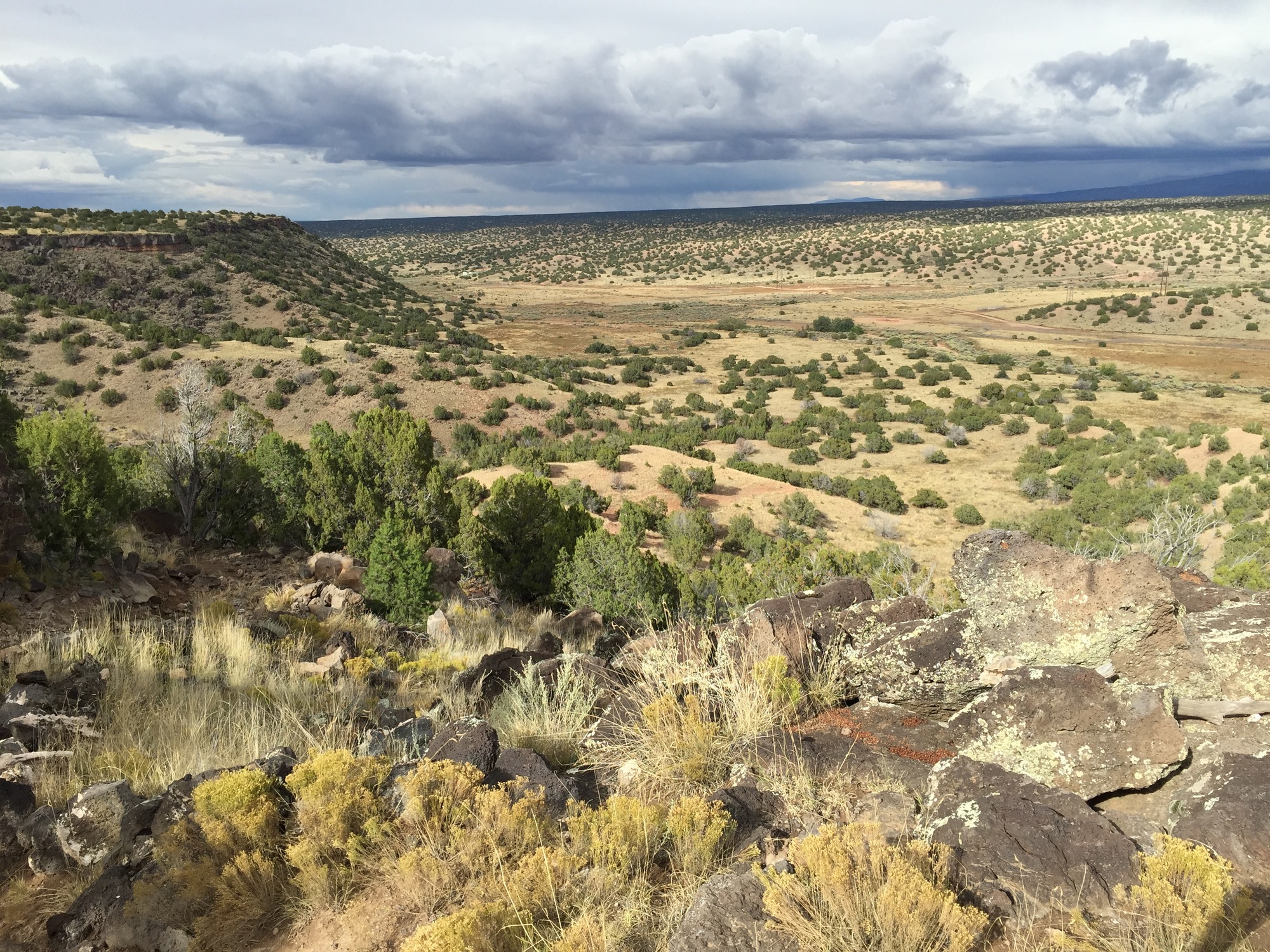 A view of a desert landscape with rocks and grasses.
