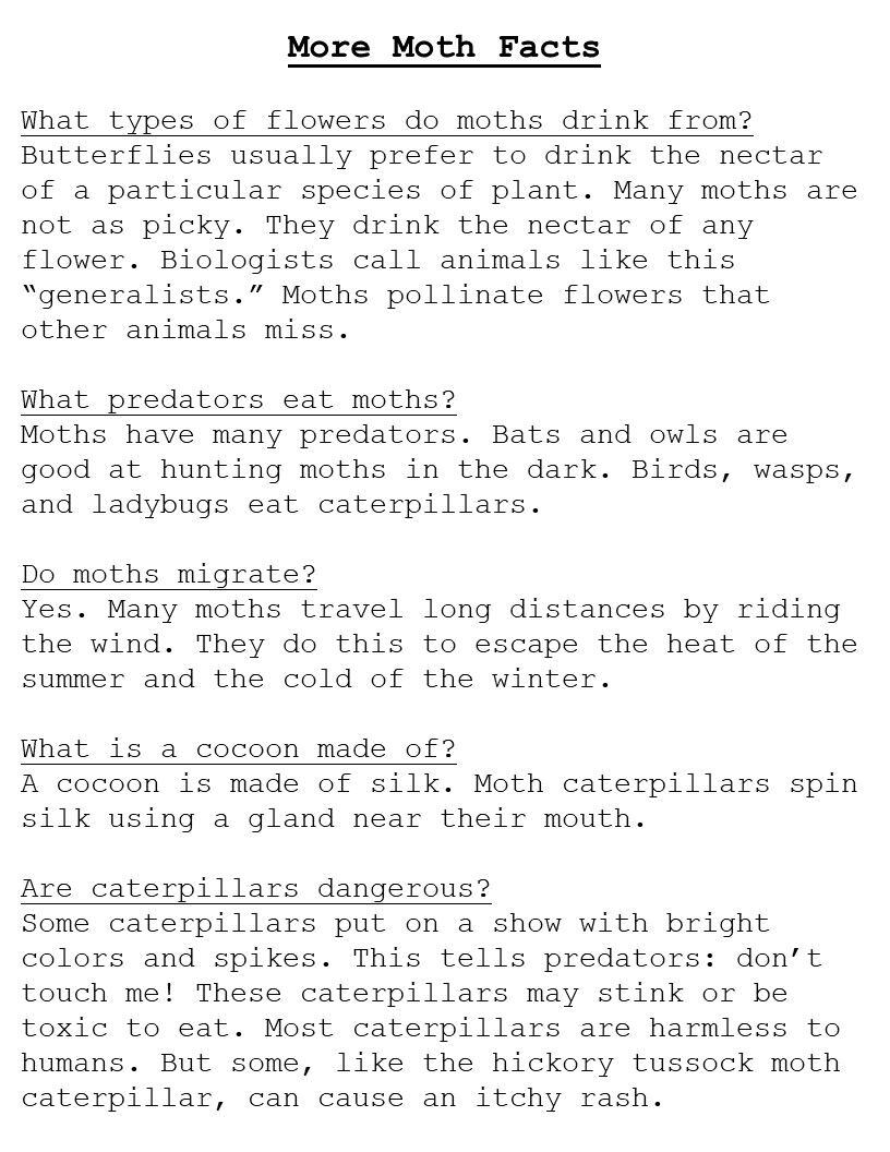 Facts about moths. 