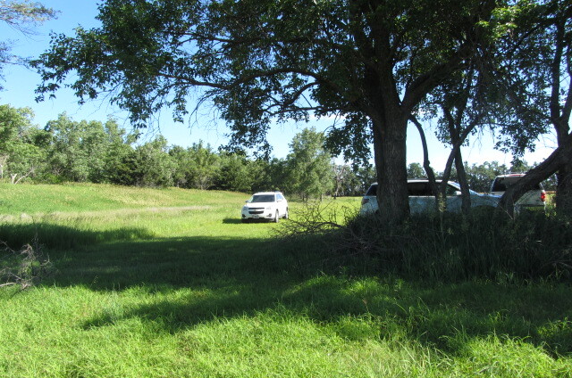 Three cars parked in a grassy area near trees.