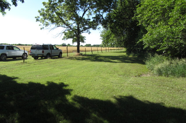 Two cars parked in a field next to a tree.
