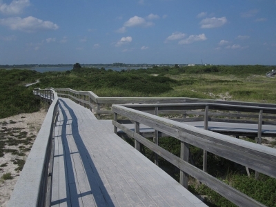 Fire Island Wilderness Path