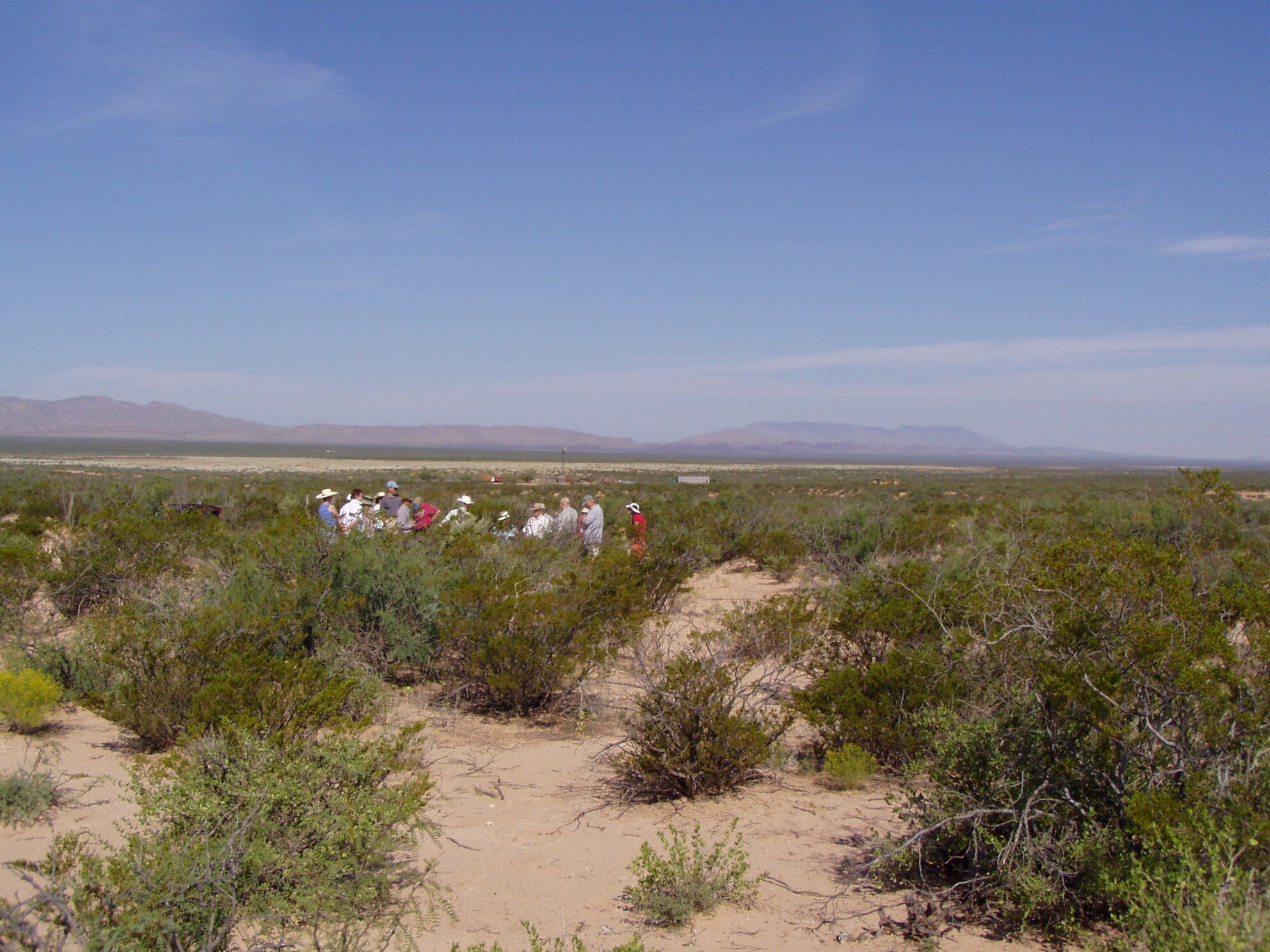 A group of people standing in a desert.