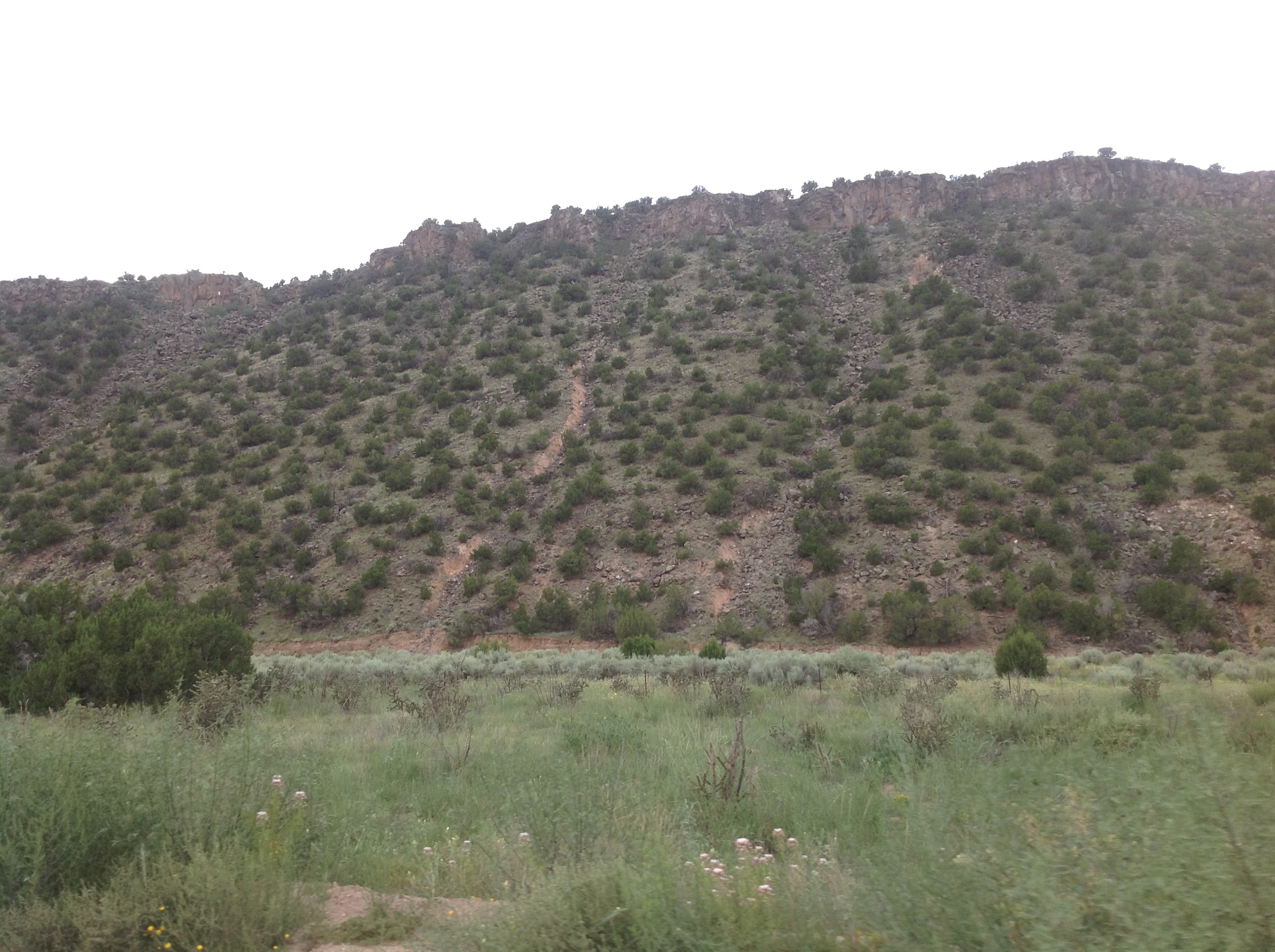 A grassy area with a mountain in the background.
