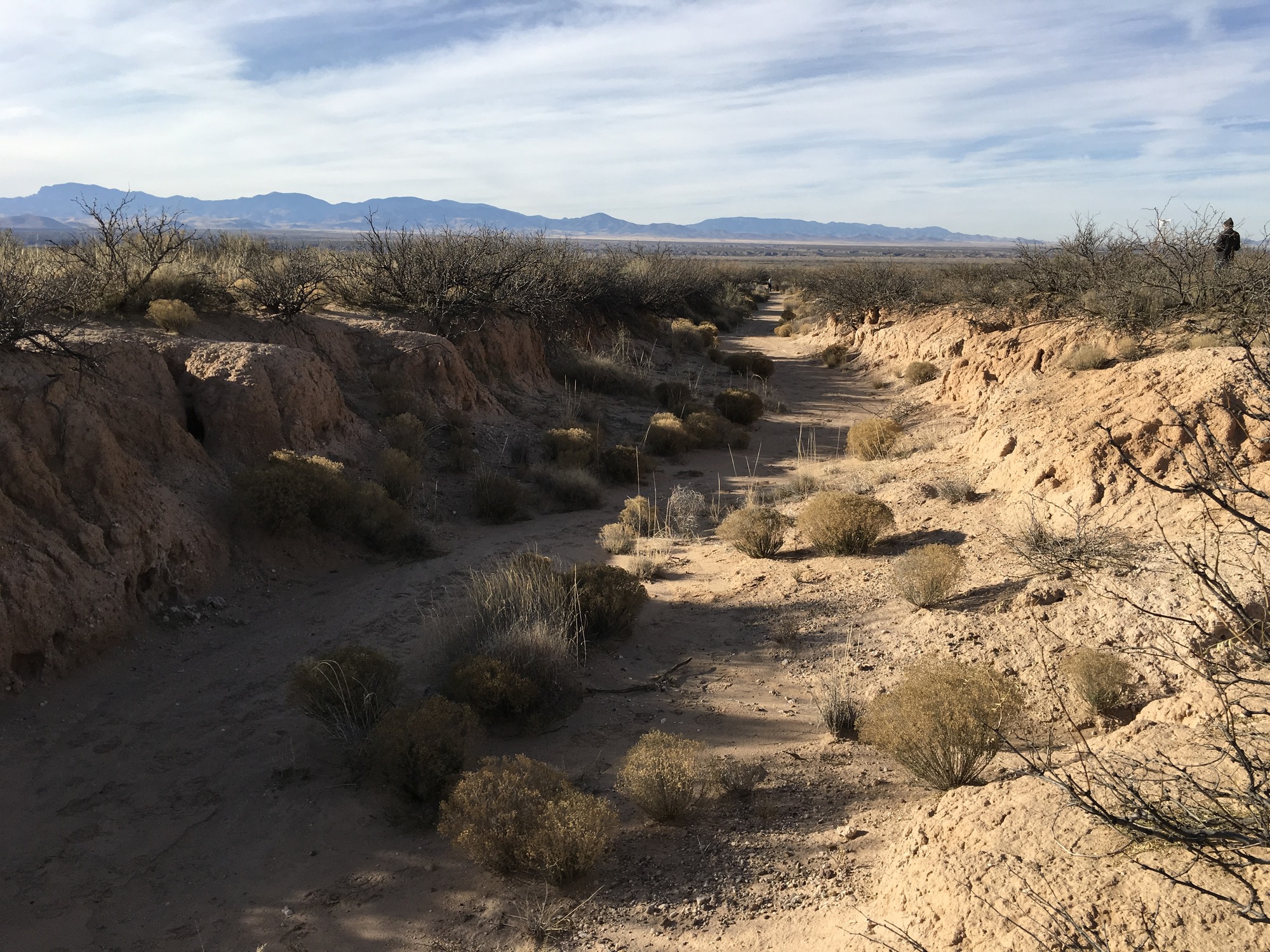 A dirt trail in the desert with bushes in the background.