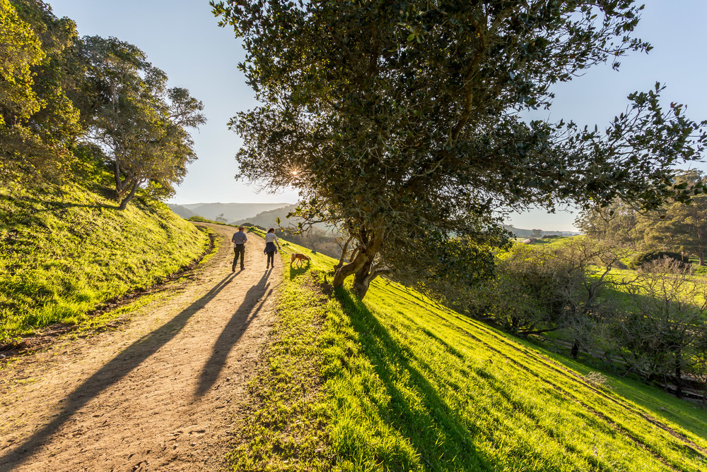 man and woman walking on a trail toward the setting sun