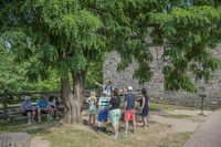 A group of visitors listening to a living history interpreter under a tree 