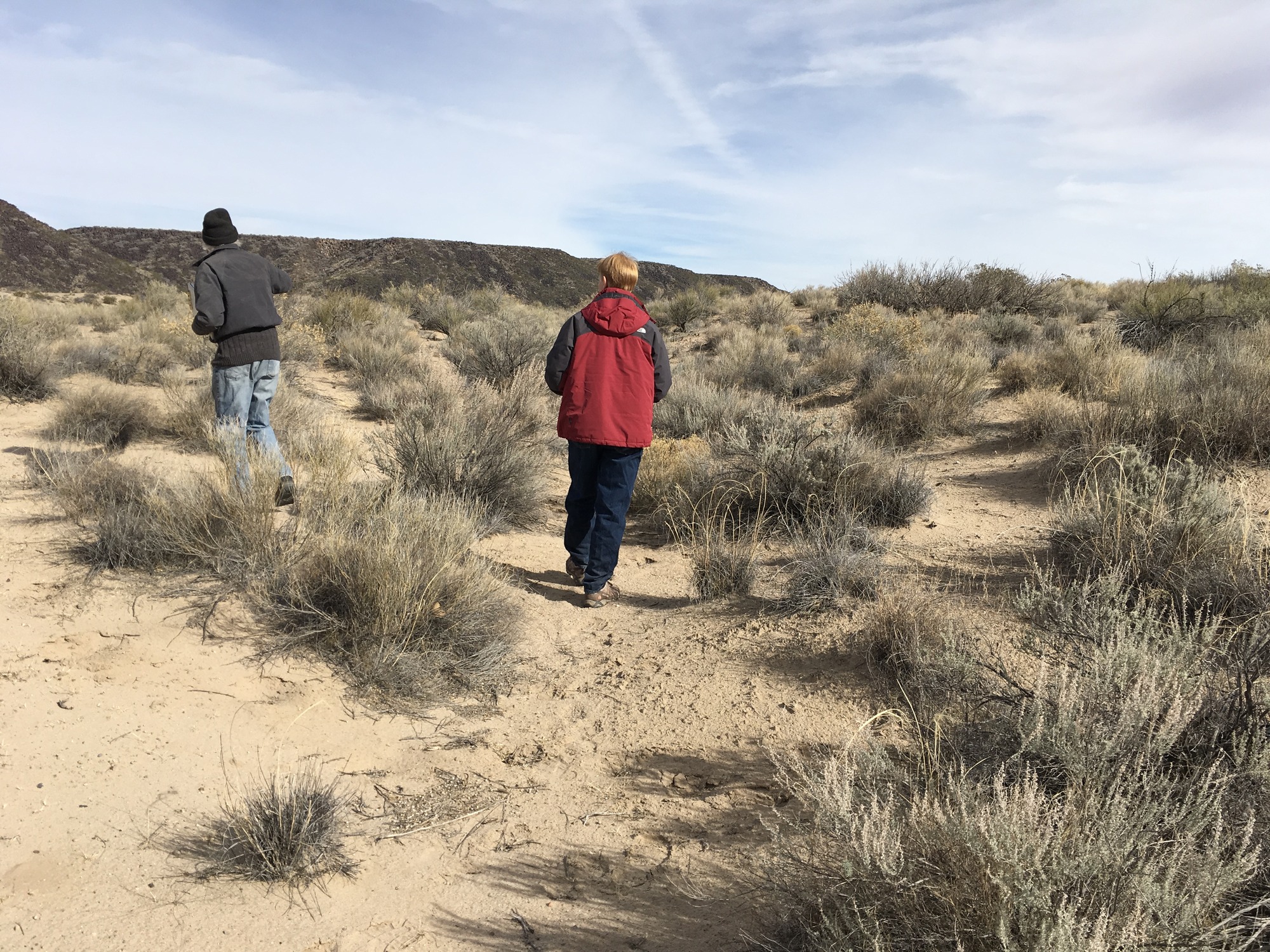 Two people are standing in the middle of a desert.