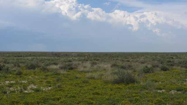 A grassy field with a cloudy sky.