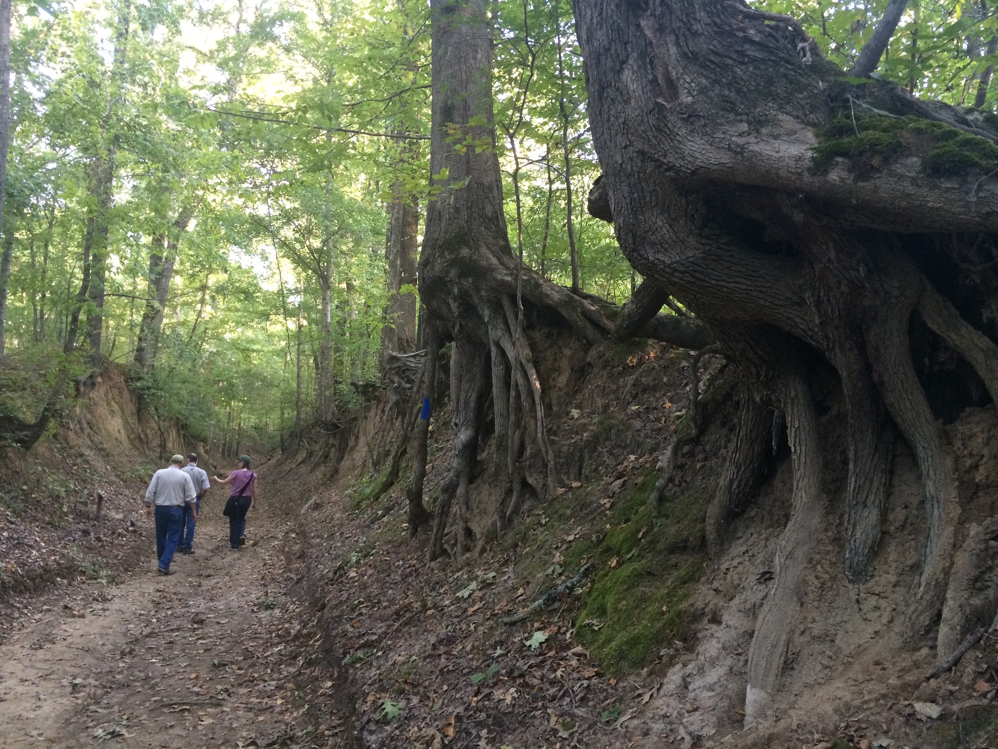 Two people walking down a trail in a wooded area.