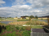 A pond in the middle of a grassy area.