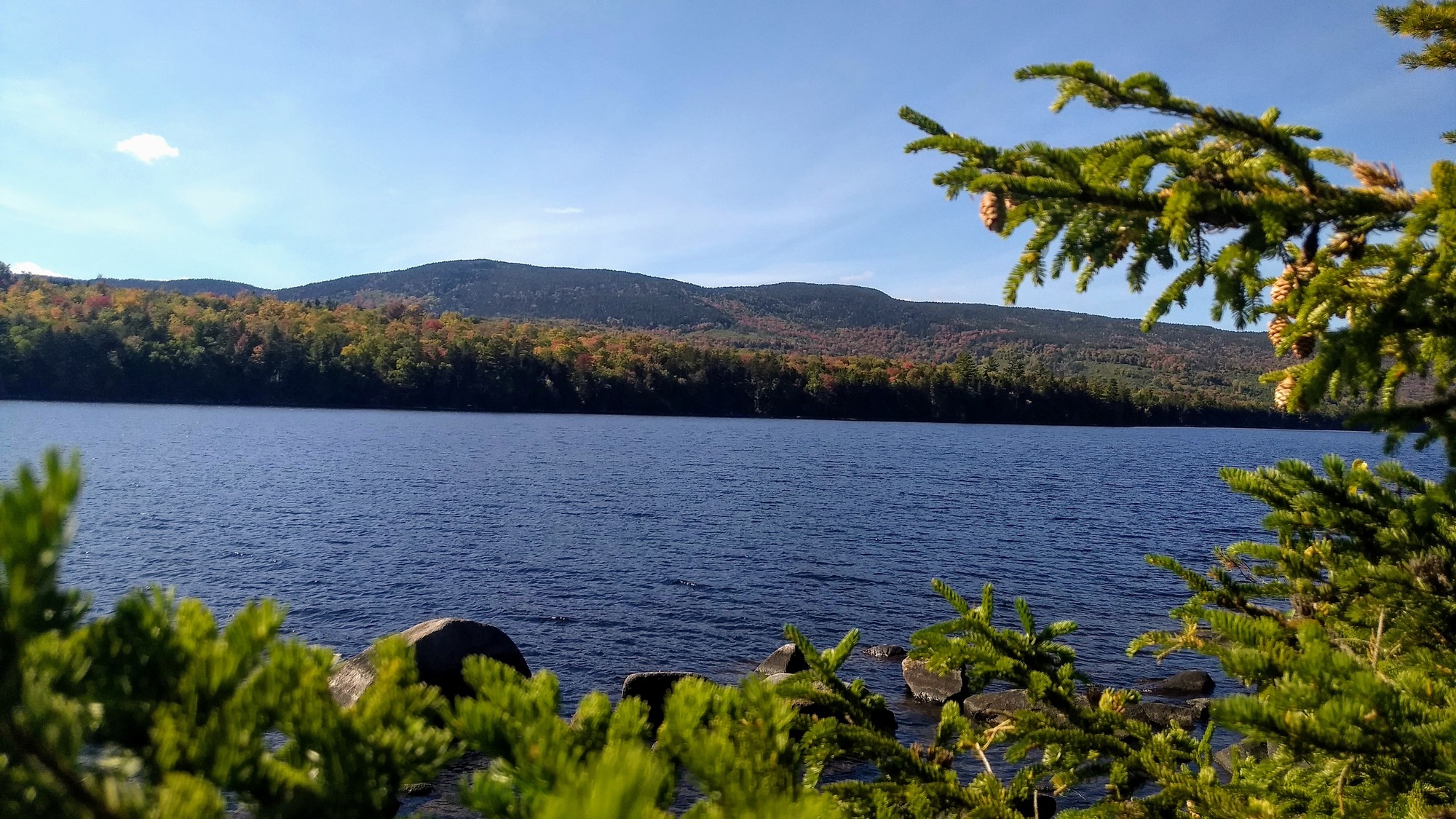 A blue pond is framed by pine branches and distant mountains.