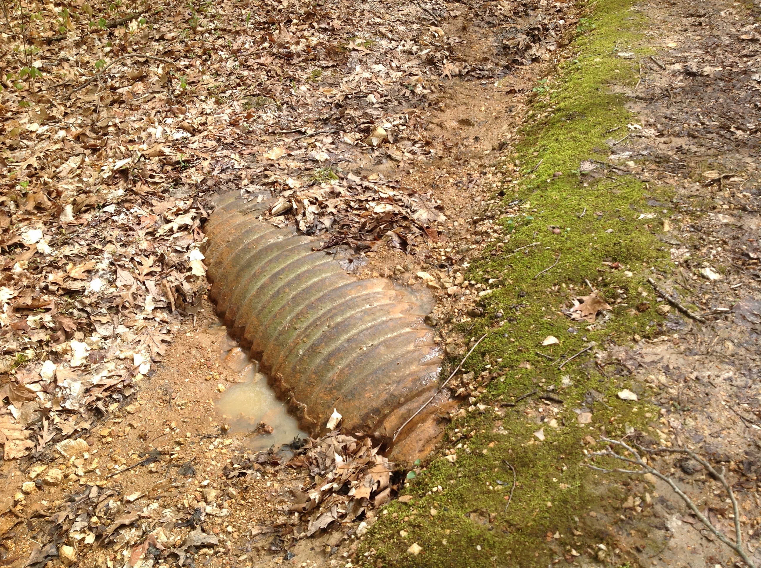 An old, rusted metal object lying among leaves on the ground in a wooded area.