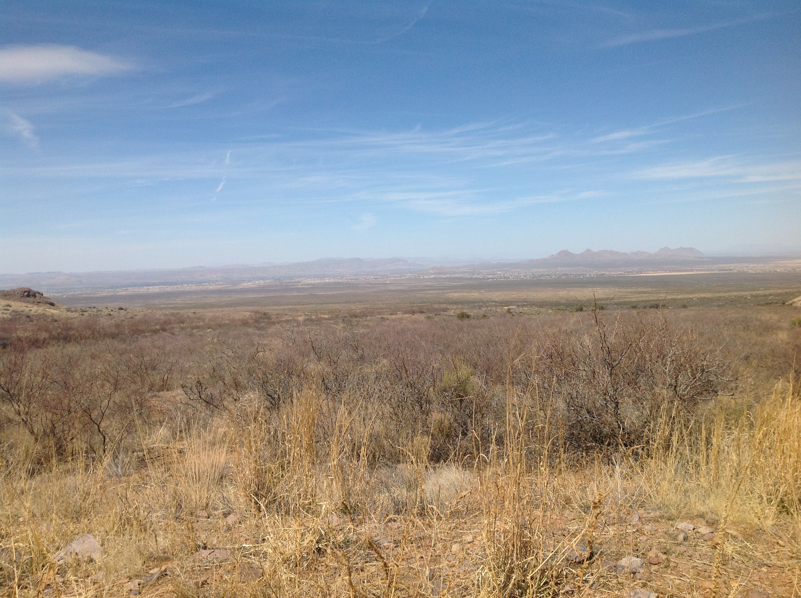 A view of a desert landscape with dry grasses and a blue sky.