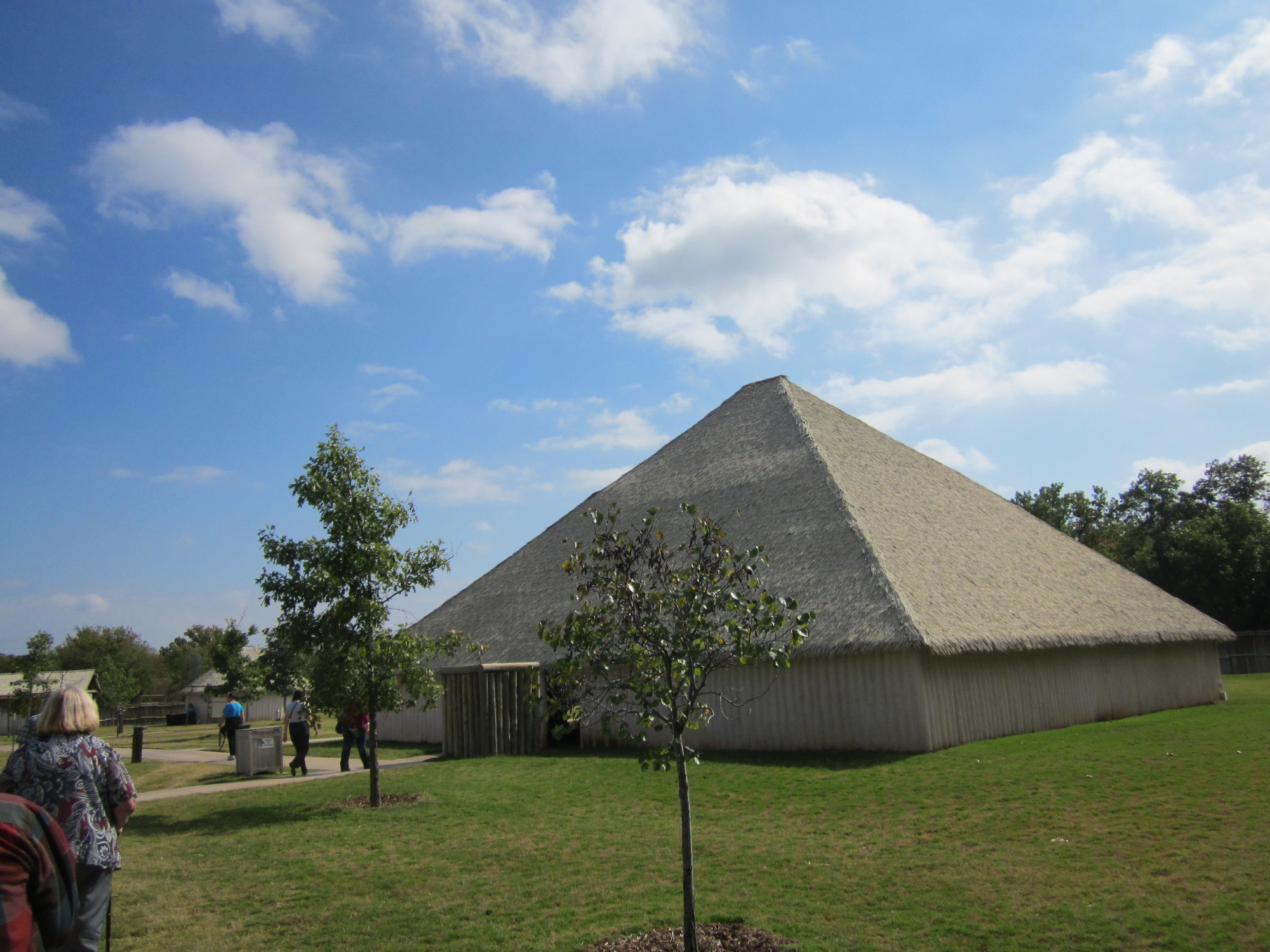 A grassy field with trees and teepees.