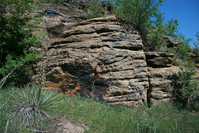 Layered rock formations with green shrubs and blue wildflowers in the foreground under a clear blue sky.