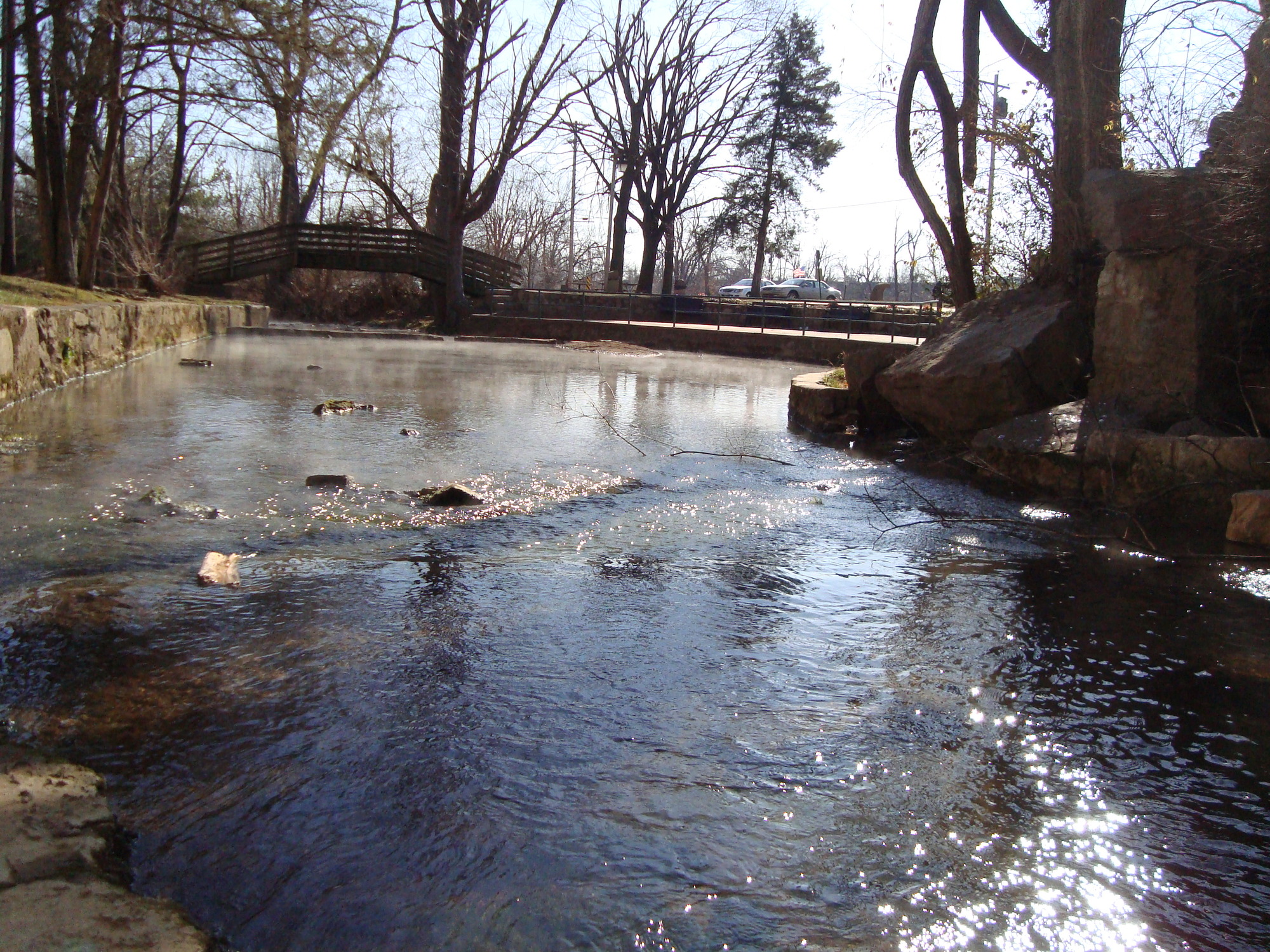 A small stream in a wooded area.
