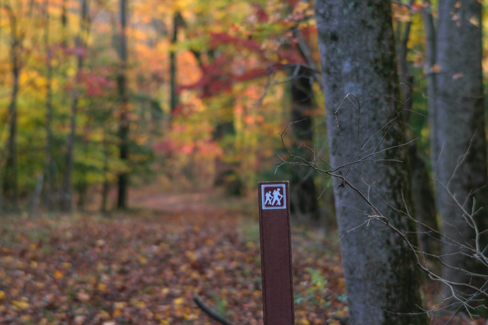 A hiking sign indicates a trailhead in a beautifully fall-colored forest. 