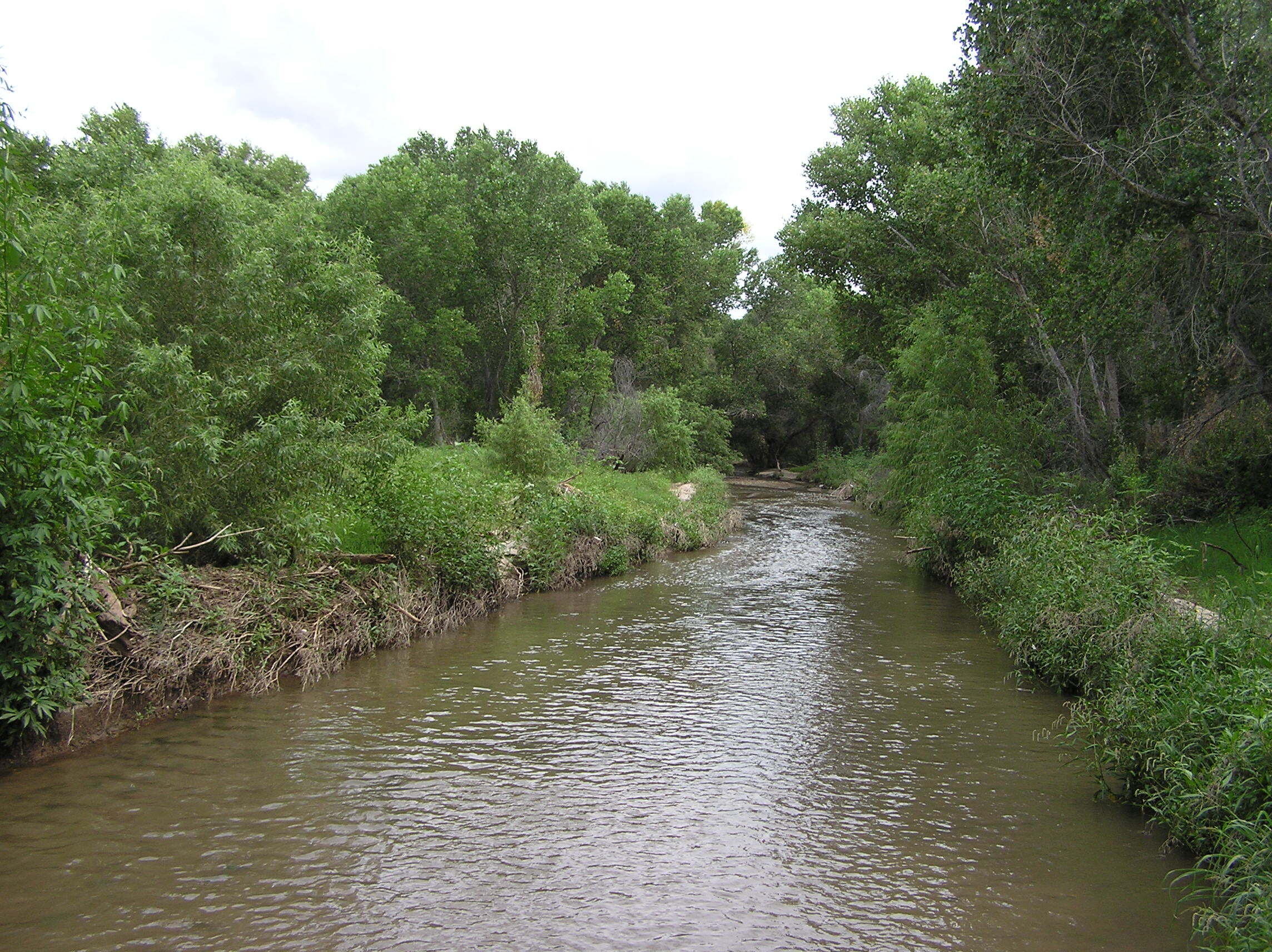 river corridor with eroded banks and overcast sky