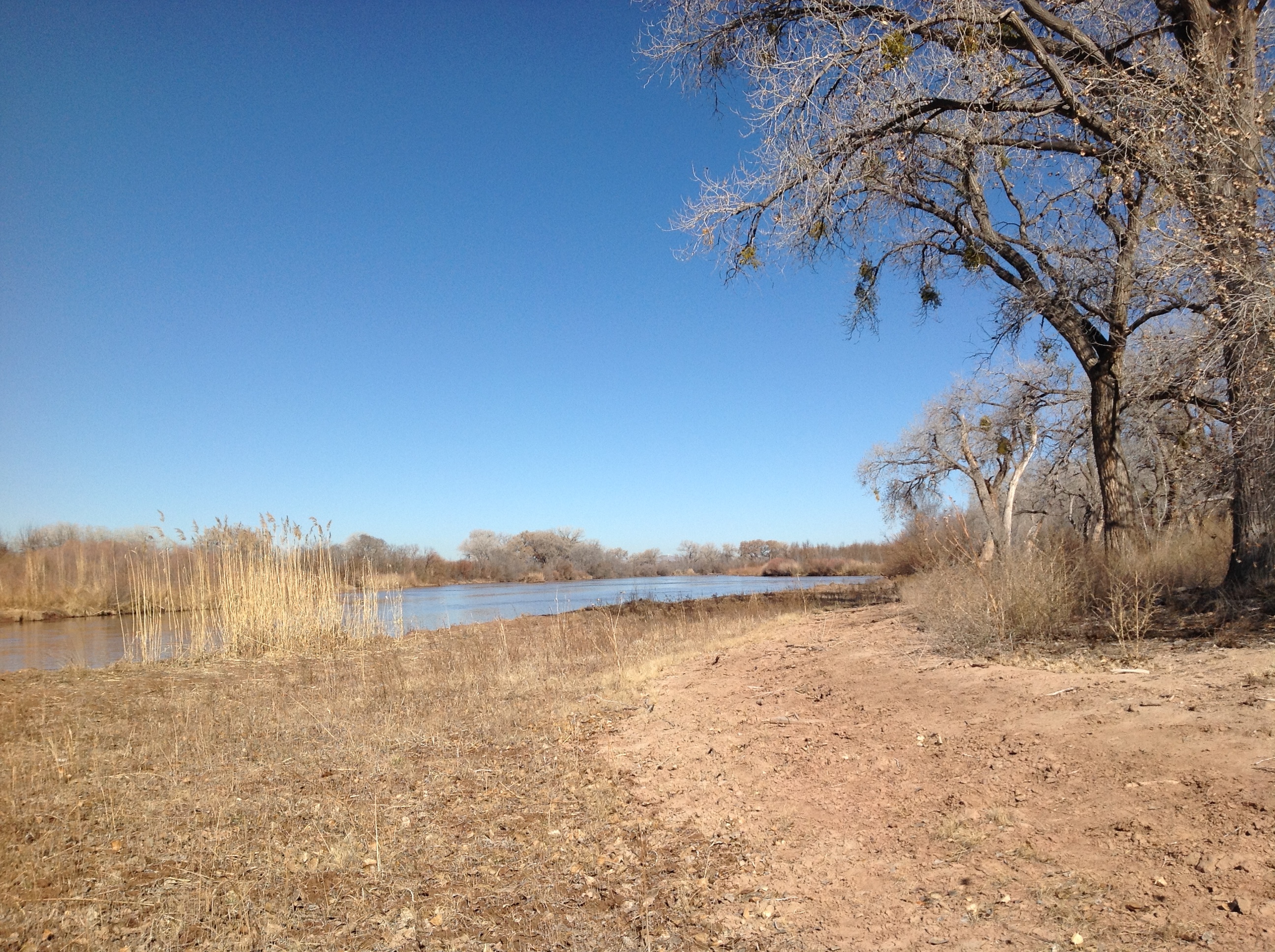 A dirt road next to a river.
