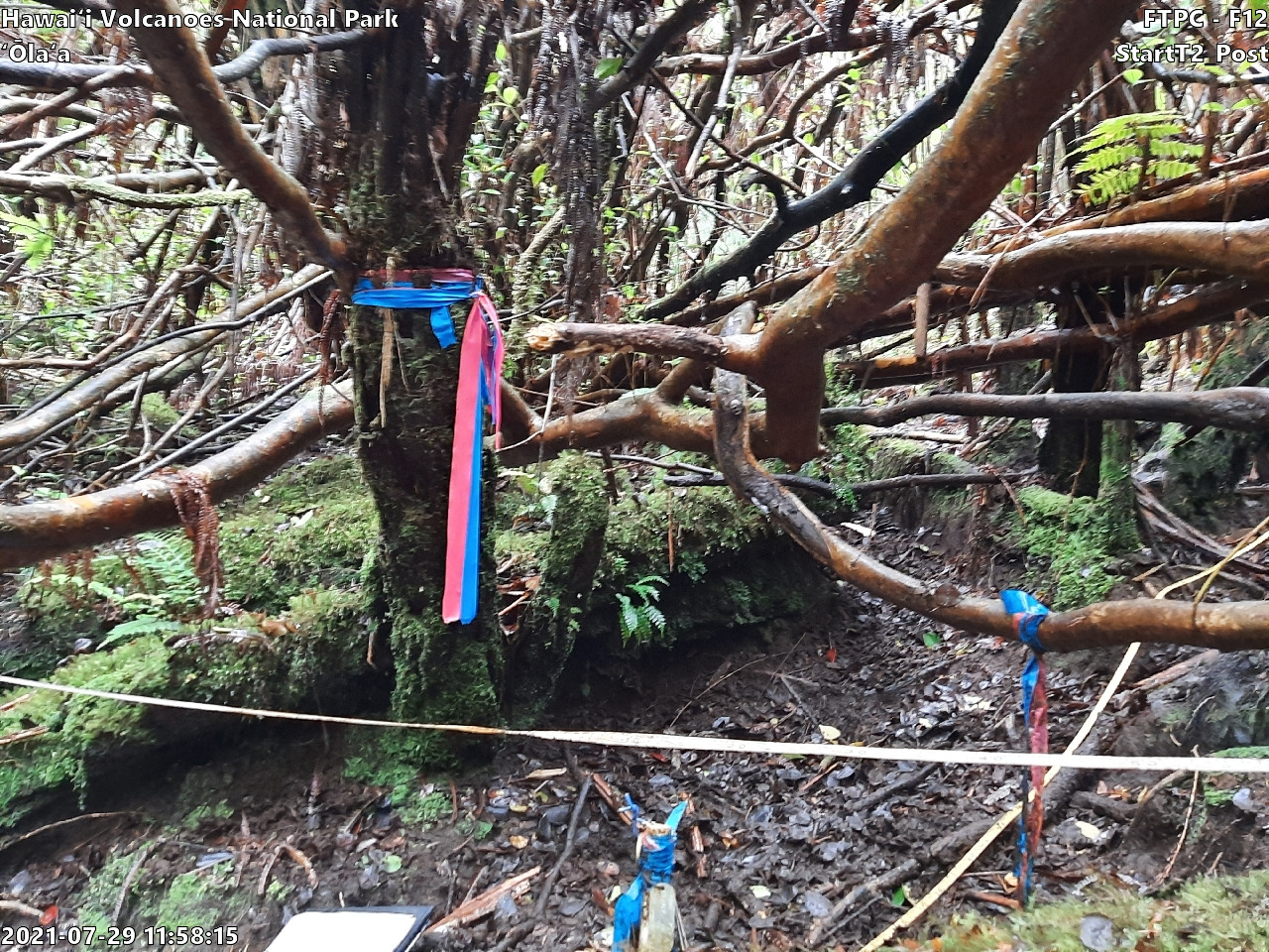 Photo of plot marker for relocation