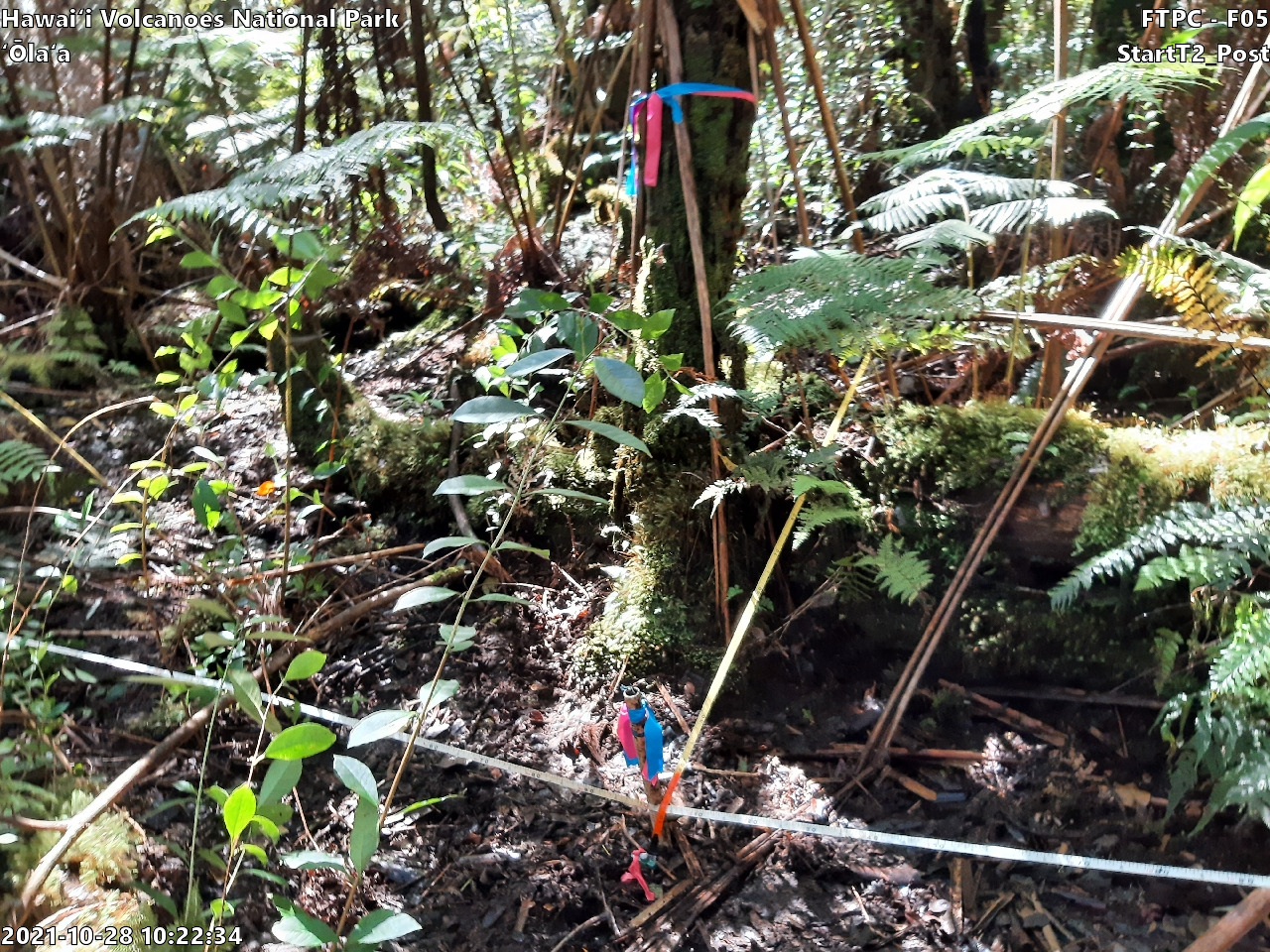 Photo of plot marker for relocation