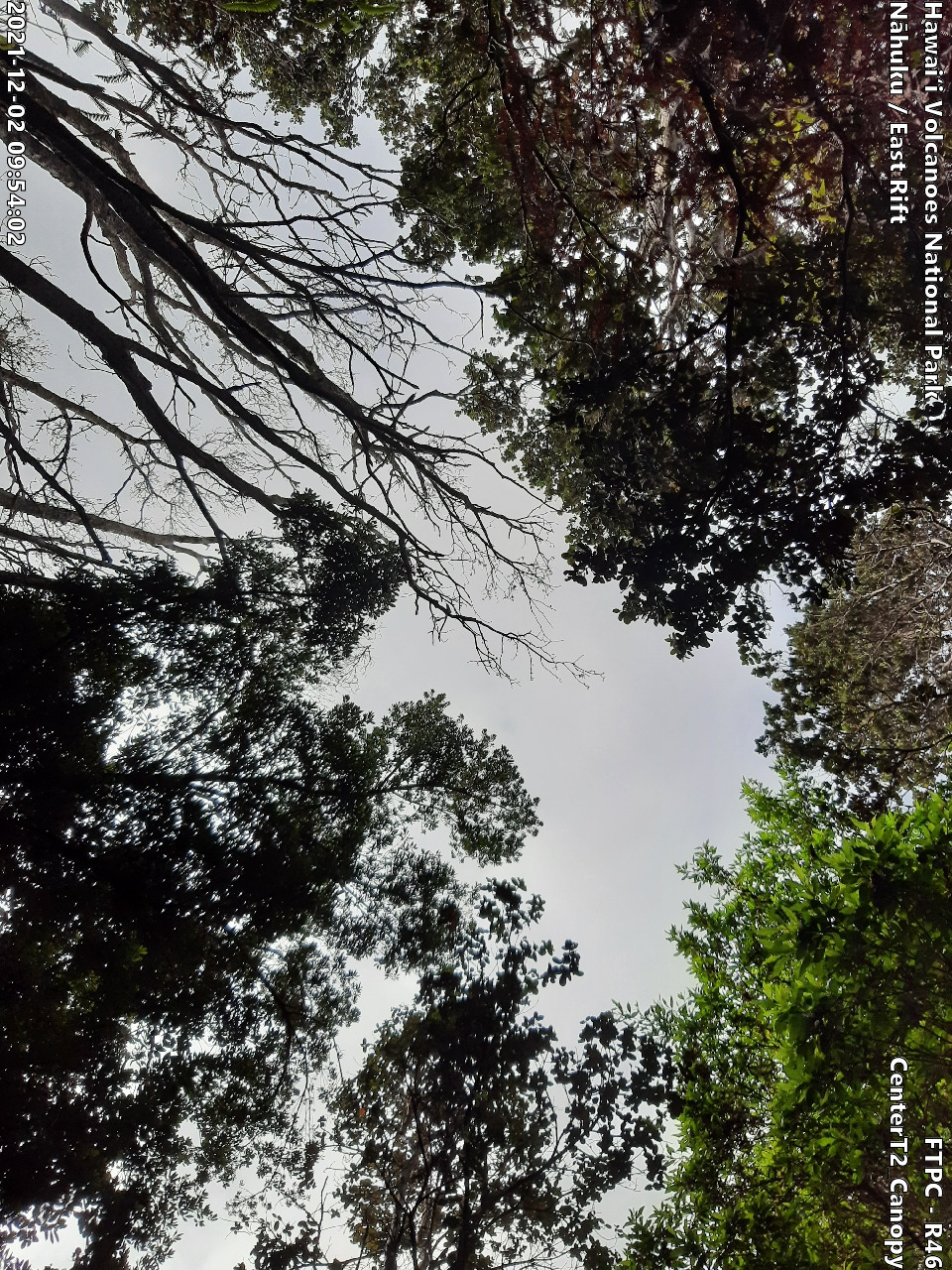 Eye-level view of plant community at monitoring site