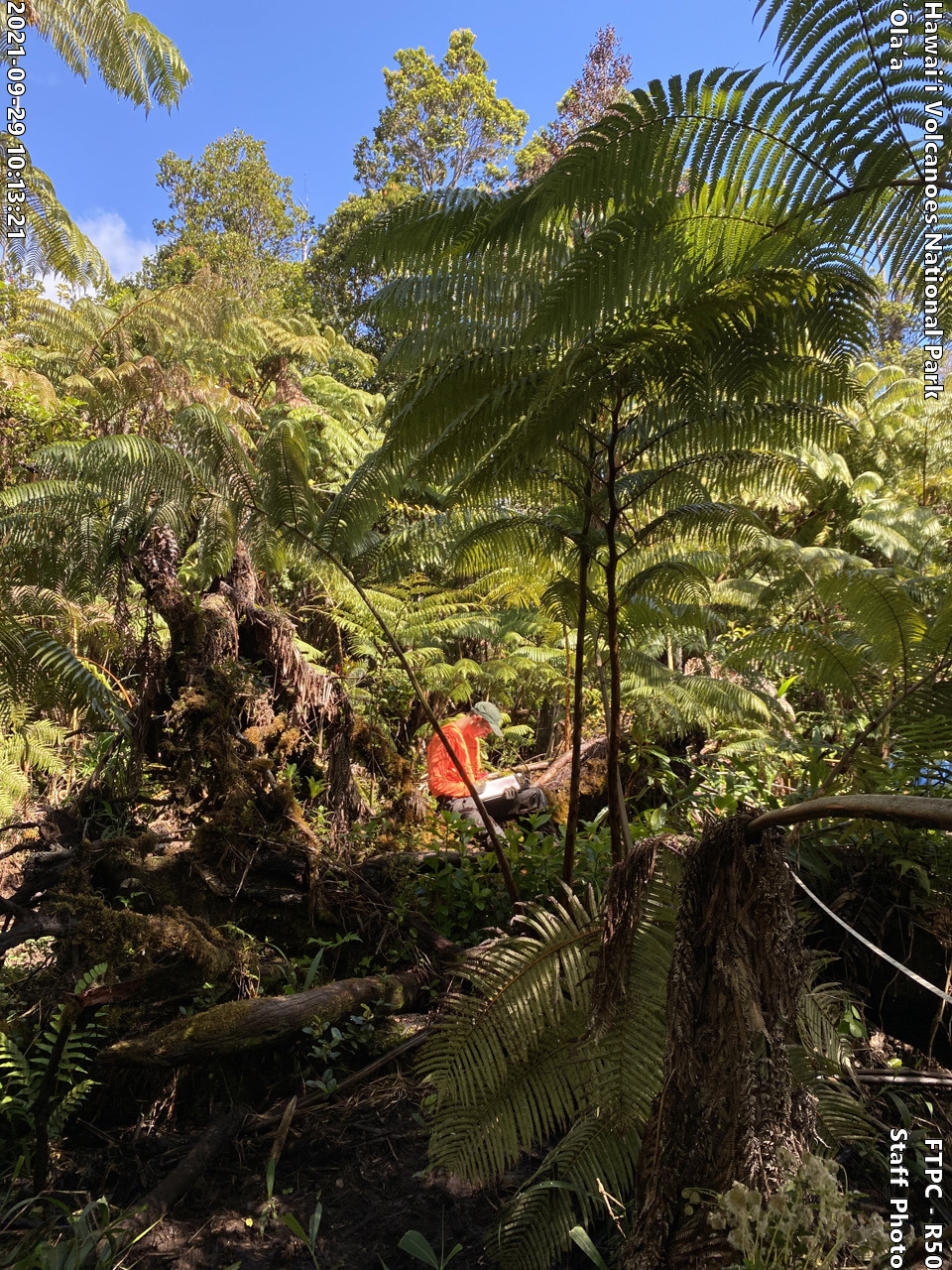 Photo of staff personel at the monitoring site