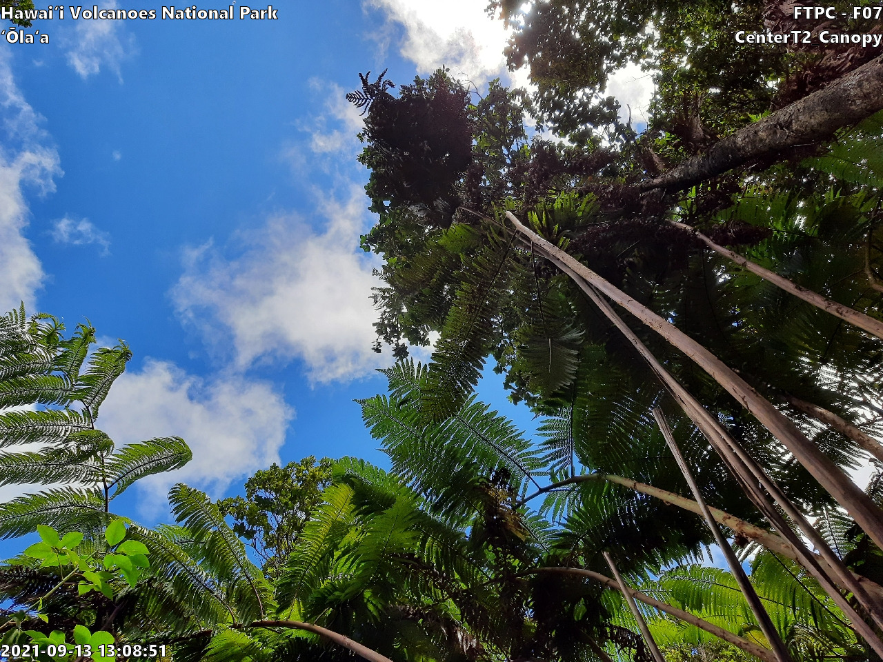 Eye-level view of plant community at monitoring site
