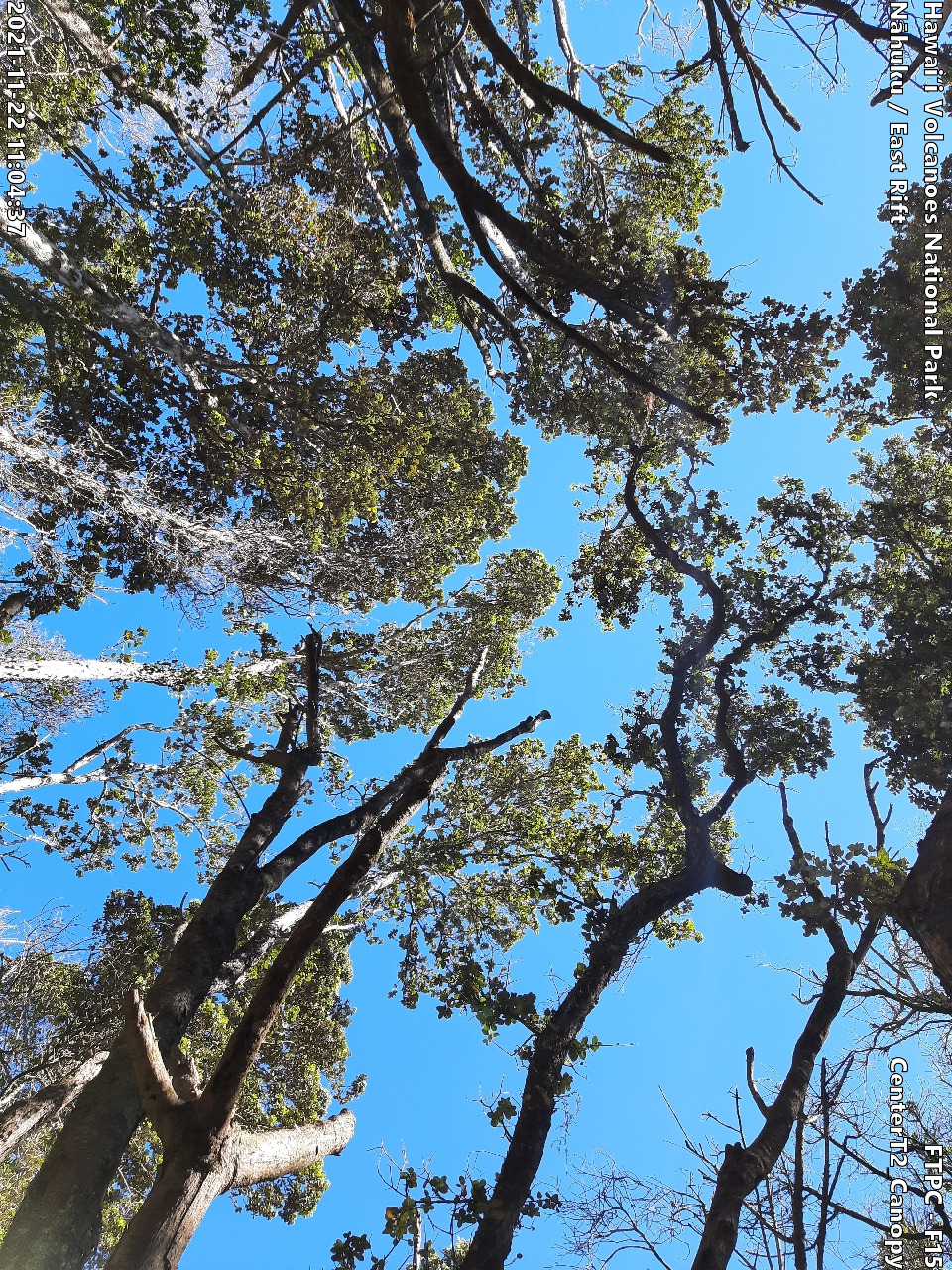 Eye-level view of plant community at monitoring site